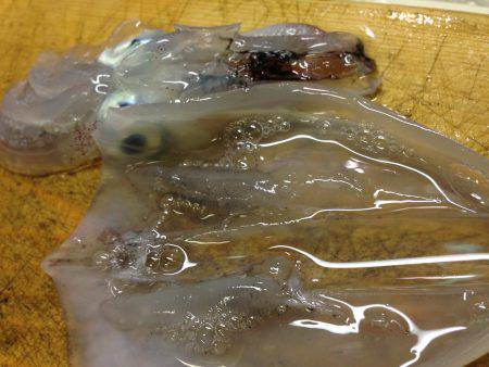 晩飯のおかずゲット